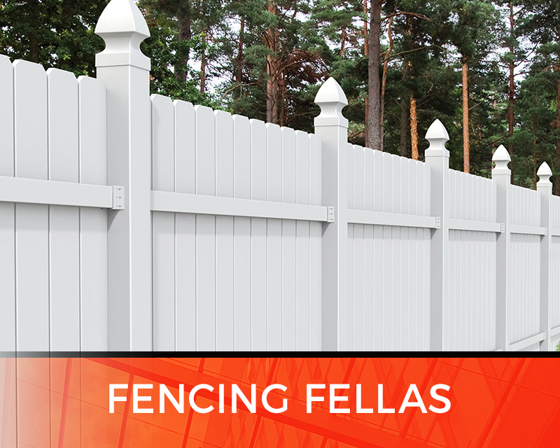 Fencing Fellas